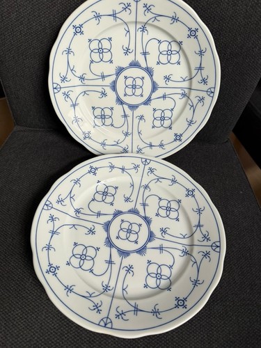 Winterling indisch blau - winterling,