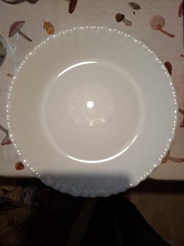Porzellan speiseteller 24cm - speiseteller, 24cm,